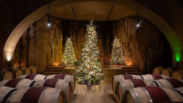 Festival of the Trees Winery Experience